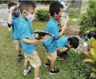 "WoW Project - Insects have Compound Eyes" • MOE Kindergarten at First Toa Payoh